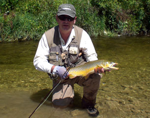 A beauty of a brown during mid day