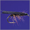 Early Black Stonefly