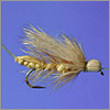 Golden Stonefly