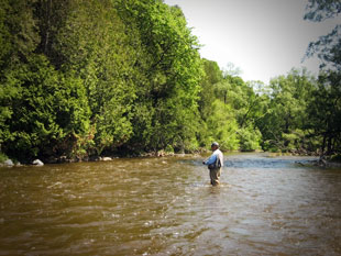 Working the Upper Grand River in Ontario